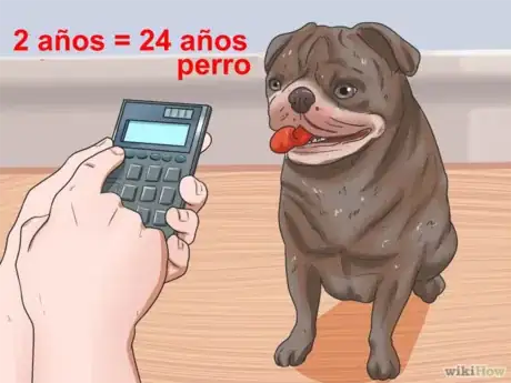 Imagen titulada Calculate_Dog_Years_Step_11 ES.png