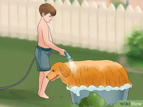 Imagen titulada Be a Good Pet Owner (for Kids) Step 3