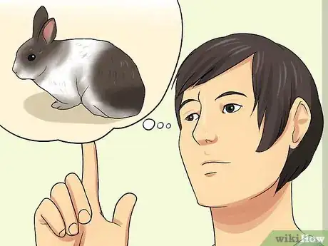 Imagen titulada Care for Dutch Rabbits Step 1