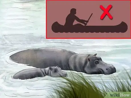 Imagen titulada Deal With a Hippo Encounter Step 10