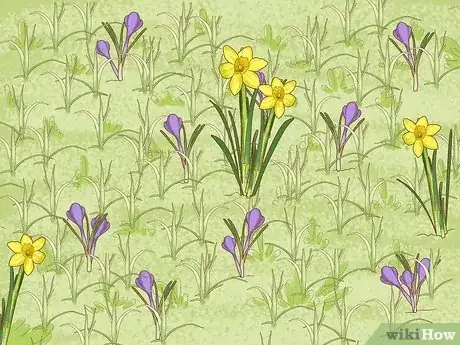 Imagen titulada Plant Bulbs in Grass Step 9