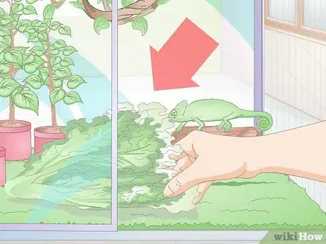 Imagen titulada Feed a Chameleon Step 9