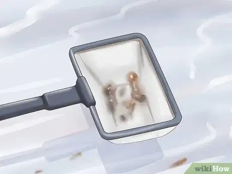 Imagen titulada Clean a Fish Tank With Sand Step 13