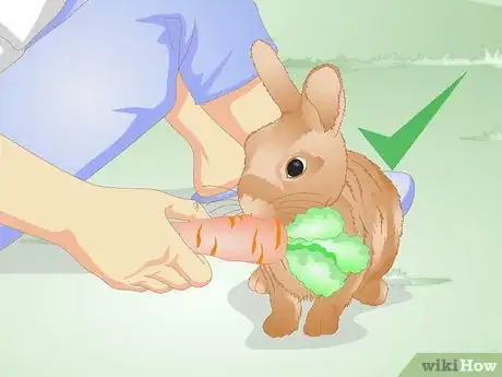 Imagen titulada Tell if Your Rabbit Is Lonely Step 11