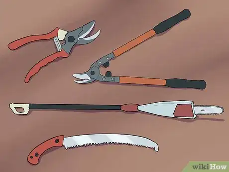 Imagen titulada Prune a Crepe Myrtle Step 1