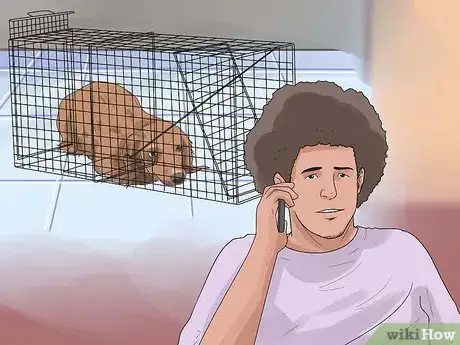 Imagen titulada Catch a Stray Dog Step 12