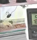 cuidar a una serpiente del maíz bebé