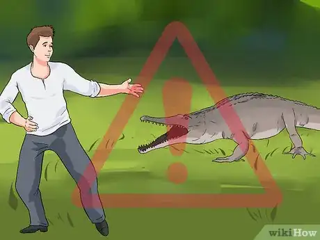 Imagen titulada Tell a Freshwater Crocodile from a Saltwater Crocodile Step 8