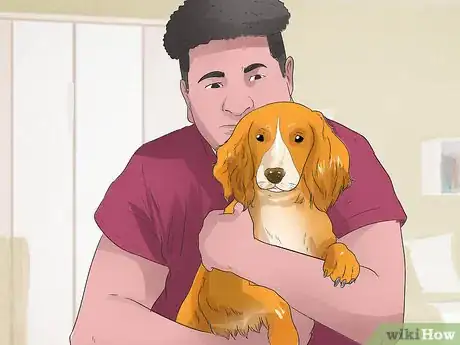 Imagen titulada Train Your Dog to Use a Dog Door Step 14