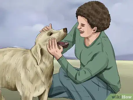 Imagen titulada Treat Pyometra in Dogs Step 14