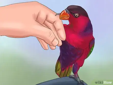 Imagen titulada Train a Bird to Step on Your Finger Step 6