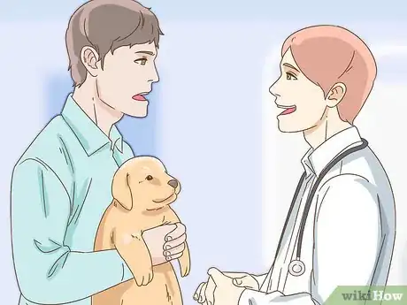 Imagen titulada Care for a Dog With a Broken or Fractured Pelvis Step 12