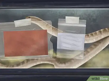 Imagen titulada Care for Your Ball Python Step 9