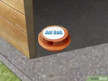 Imagen titulada Kill Ants Outside Step 4