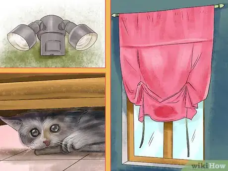 Imagen titulada Retrain a Cat to Use the Litter Box Step 7