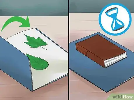 Imagen titulada Make a Leaf Collage Step 3