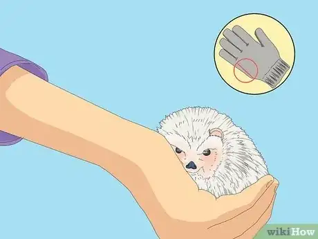 Imagen titulada Tame a Hedgehog Step 2
