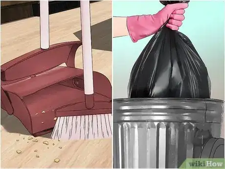 Imagen titulada Kill Ants in Your House Step 9