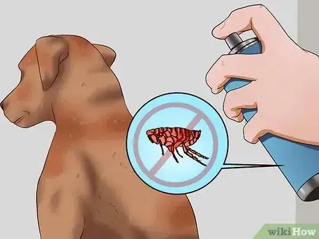 Imagen titulada Kill Fleas on Dogs Step 2