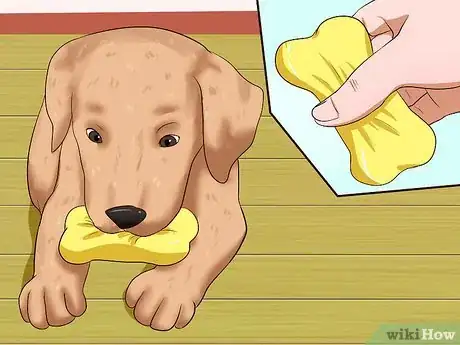 Imagen titulada Get Your Puppy to Stop Biting Step 19
