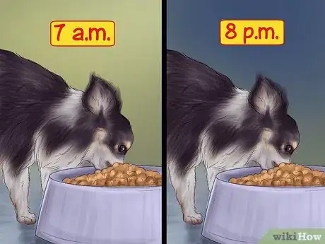 Imagen titulada Feed Picky Chihuahuas Step 10