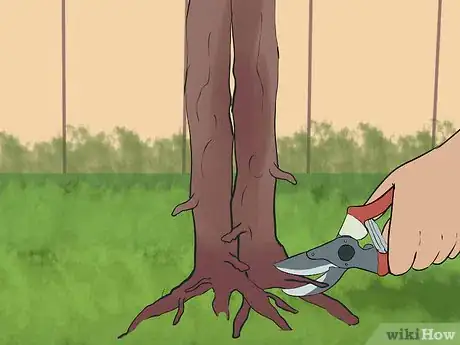 Imagen titulada Prune a Crepe Myrtle Step 5