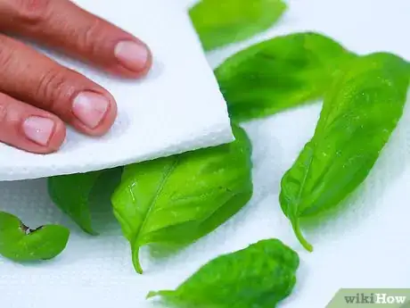 Imagen titulada Dry Basil Step 4