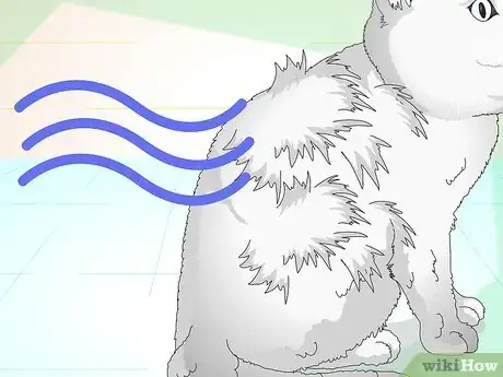 Imagen titulada Make an Herbal Flea Remedy for Cats Step 22