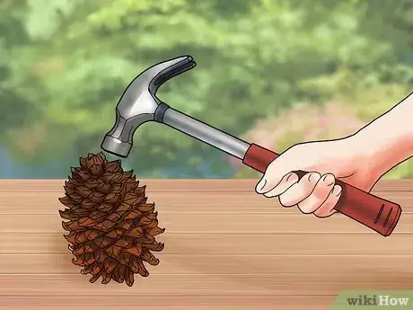 Imagen titulada Shell Pine Nuts Step 4