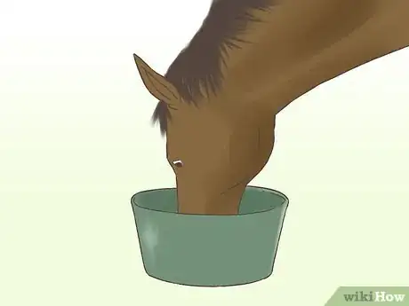 Imagen titulada Get a Horse Fit Step 15