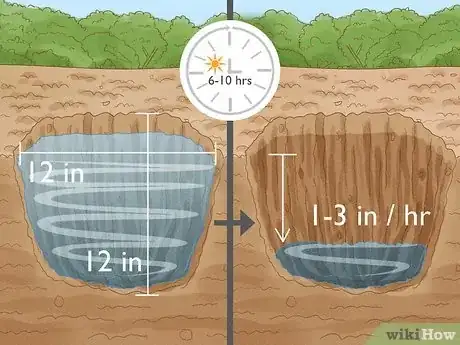 Imagen titulada Grow Strawberries Step 5
