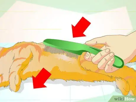 Imagen titulada Make an Herbal Flea Remedy for Cats Step 16