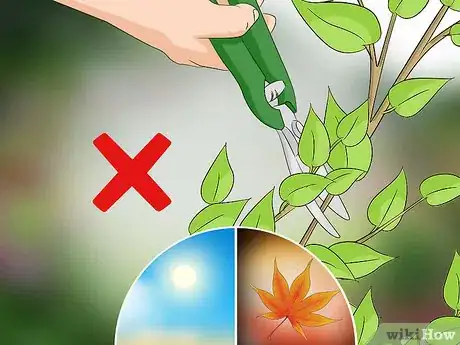 Imagen titulada Prune Lilacs Step 4
