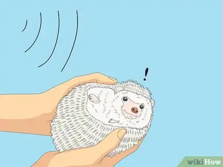 Imagen titulada Tame a Hedgehog Step 9