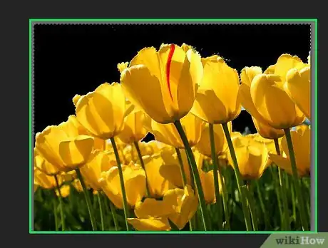 Imagen titulada Make Tubes in Paint Shop Pro Step 9