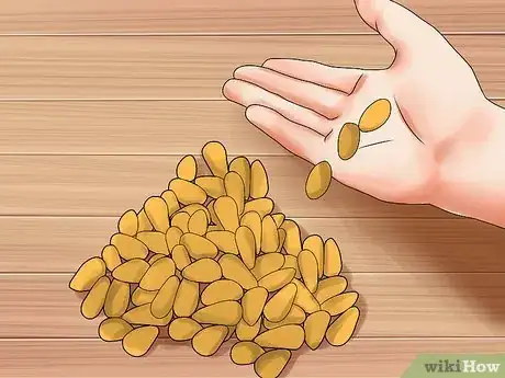 Imagen titulada Shell Pine Nuts Step 1