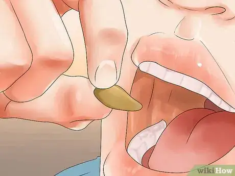 Imagen titulada Shell Pine Nuts Step 10