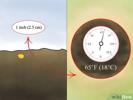 Imagen titulada Grow Millet Step 12