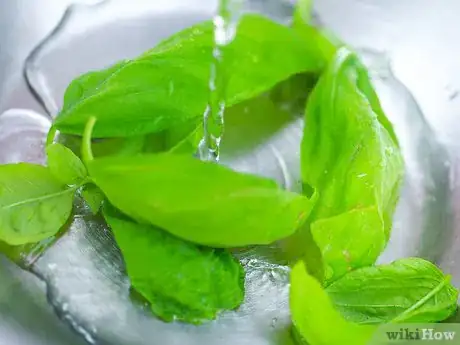 Imagen titulada Dry Basil Step 3