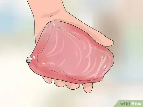 Imagen titulada Treat Dog Diarrhea Step 3