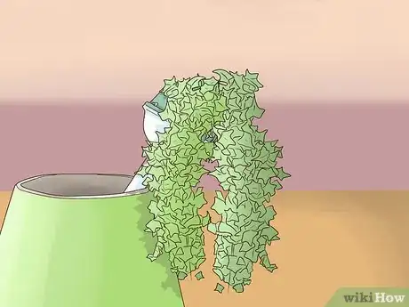 Imagen titulada Arrange a Cascade Bridal Bouquet Step 8