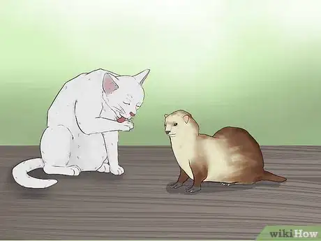 Imagen titulada Keep Ferrets in a Home with Other Pets Step 3