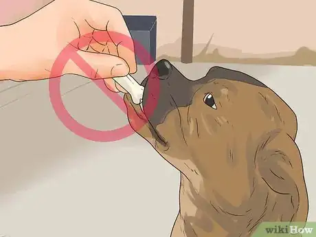 Imagen titulada Catch a Stray Dog Step 17