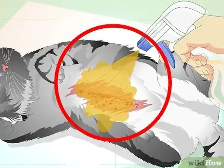 Imagen titulada Make an Herbal Flea Remedy for Cats Step 28