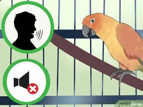 Imagen titulada Teach a Conure to Talk Step 5