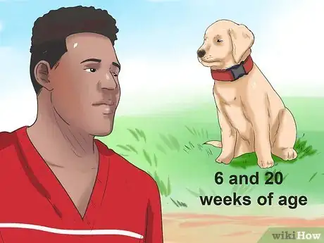 Imagen titulada Tell if Your Dog Has Parvo Step 1