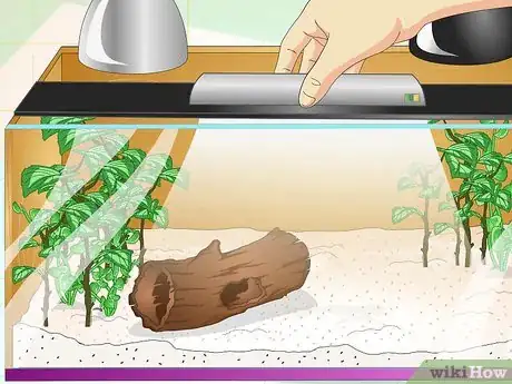 Imagen titulada Create a Green Anole Habitat Step 6