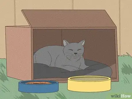 Imagen titulada Handle a Stray Cat Step 4