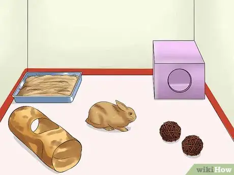 Imagen titulada Train a Rabbit to Stop Chewing Carpet Step 12