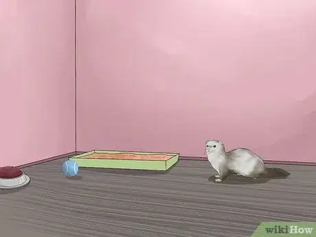 Imagen titulada Keep Ferrets in a Home with Other Pets Step 9
